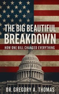 bokomslag The Big Beautiful Breakdown