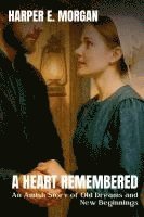 bokomslag Heart Remembered