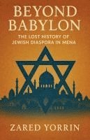 bokomslag Beyond Babylon