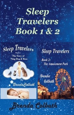 Story of Ning, Dog, and Boss, The Amusement Park 1