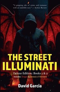 bokomslag Street Illuminati