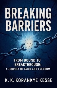 bokomslag Breaking Barriers