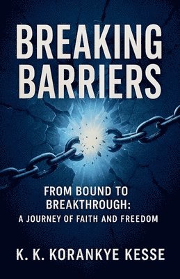bokomslag Breaking Barriers