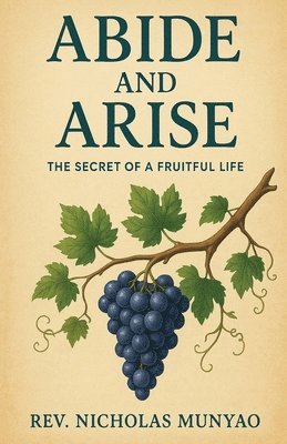 bokomslag Abide and Arise
