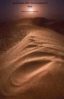 bokomslag Saudi Arabia 2030