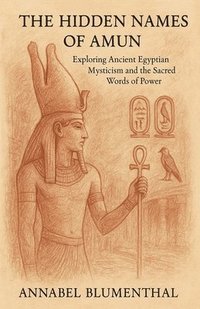 bokomslag Hidden Names of Amun