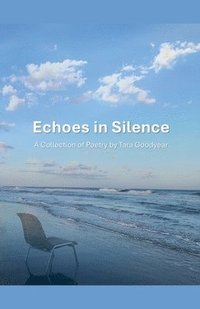 bokomslag Echoes in Silence
