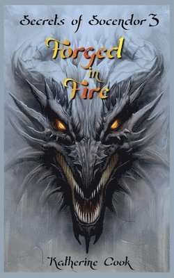 bokomslag Forged in Fire