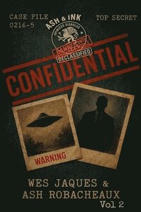 bokomslag Declassified Files 2