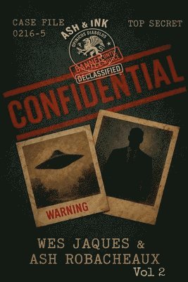 bokomslag Declassified Files 2