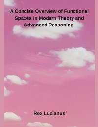 bokomslag A Concise Overview of Functional Spaces in Modern Theory and Advanced Reasoning