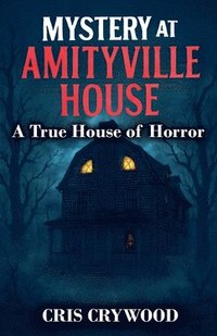 bokomslag Mystery at Amityville House
