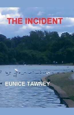 bokomslag Incident