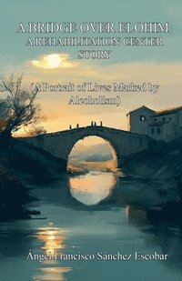 bokomslag Bridge over Elohim
