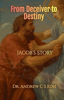 bokomslag From Deceiver to Destiny: Jacob's Story