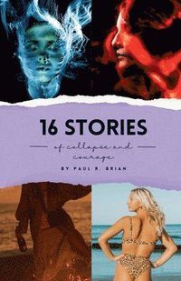 bokomslag 16 Stories of Collapse and Courage