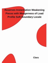 bokomslag Reserves Instantiation Weakening Pieces with Meagerness of Load Profile Soft-Boundary Locale