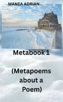 bokomslag Metabook 1 (Metapoems about a Poem)