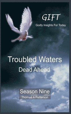 bokomslag Troubled Waters Dead Ahead