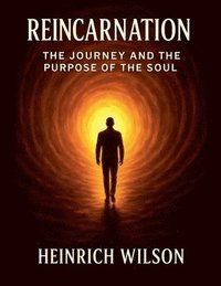 bokomslag Reincarnation: The Journey and the Purpose of the Soul