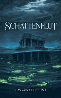 bokomslag Schattenflut