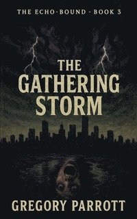 bokomslag Gathering Storm