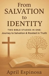 bokomslag From Salvation to Identitiy