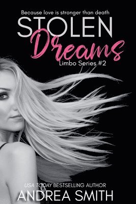 bokomslag Stolen Dreams