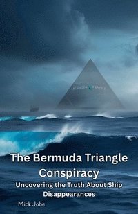 bokomslag Bermuda Triangle Conspiracy