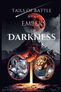 bokomslag Embers of Darkness