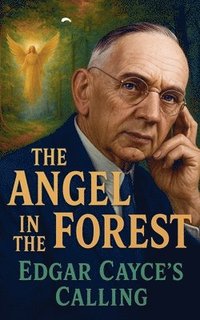bokomslag Angel in the Forest