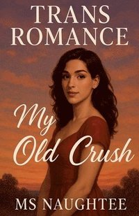 bokomslag Trans Romance
