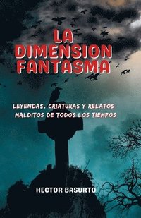 bokomslag Dimensión Fantasma