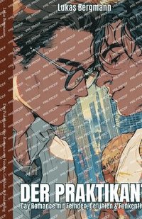 bokomslag Der Praktikant: Gay Romance mit Feinden, Gefühlen & Funkenflug
