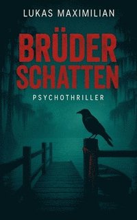 bokomslag Brüder Schatten