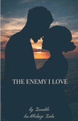 bokomslag Enemy I Love