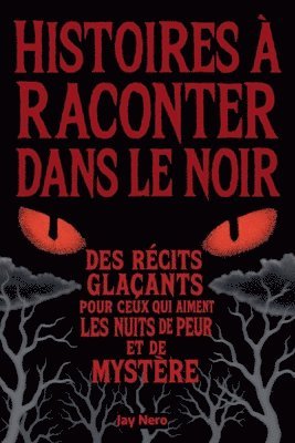 bokomslag Histoires À Raconter Dans Le Noir