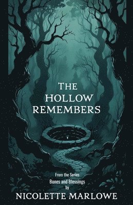 bokomslag Hollow Remembers