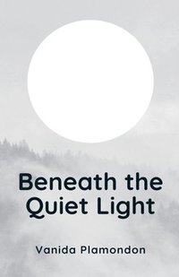bokomslag Beneath the Quiet Light