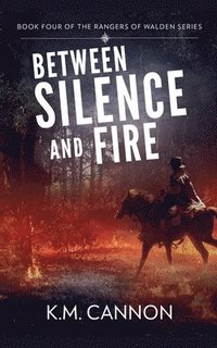 bokomslag Between Silence and Fire