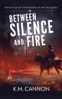 bokomslag Between Silence and Fire