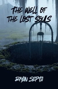 bokomslag The Well of the Lost Souls