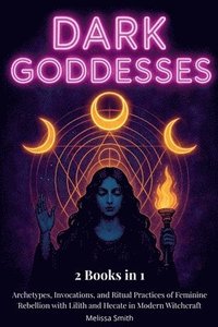 bokomslag Dark Goddesses