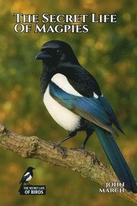 bokomslag The Secret Life of Magpies