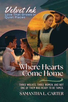 bokomslag Where Hearts Come Home