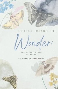 bokomslag Little Wings of Wonder: The Secret Lives of Moths
