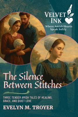 bokomslag Silence Between Stitches