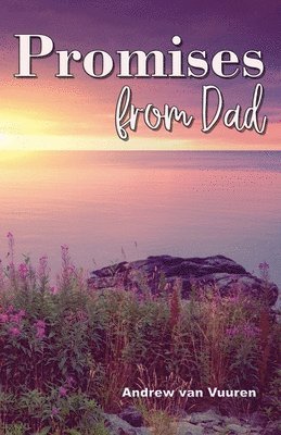 bokomslag Promises from Dad