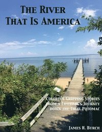bokomslag River That Is America