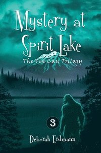 bokomslag Mystery at Spirit Lake